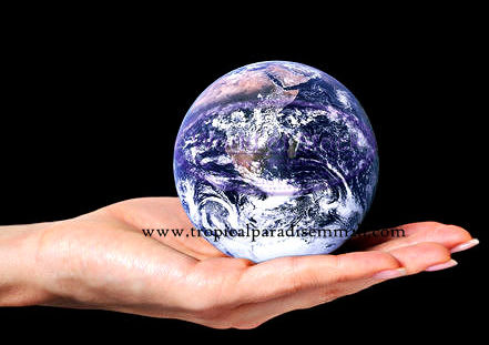 earthinhand(tropicalparadisemm2h)